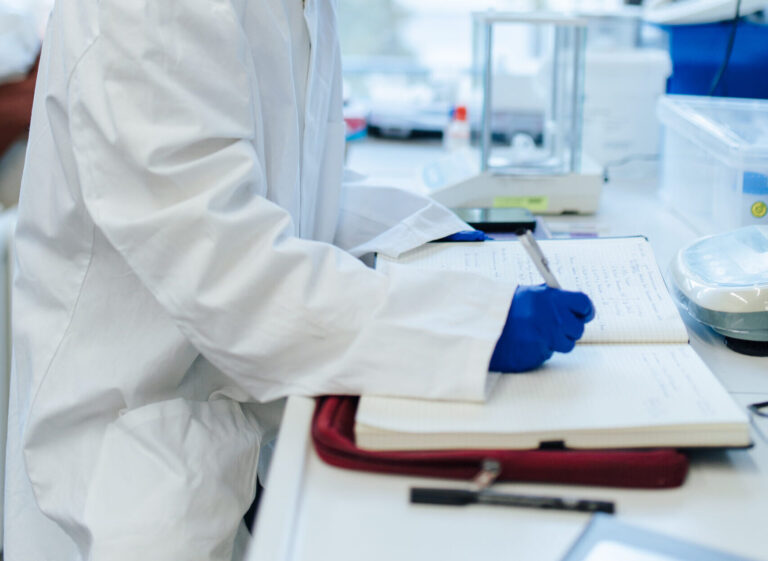 Featured image for Mandatory Modules in the Bachelor Program